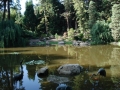 lotus_land10.jpg