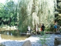 lotus_land4.jpg
