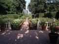 lotus_land6.jpg